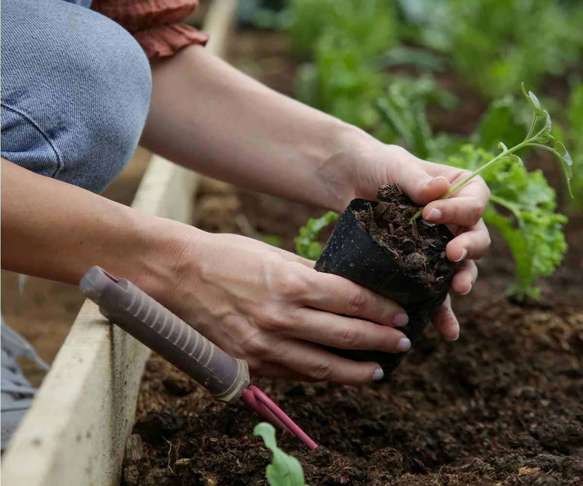 Garden Barrel